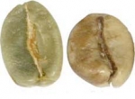  Arabica - ja robusta -pavut